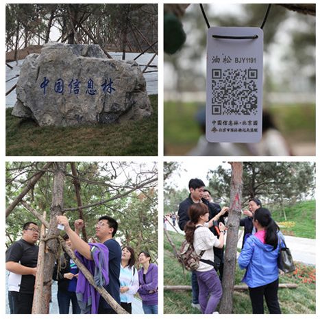乐鱼官网app·(中国区)官方平台下载
